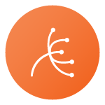 Allergy & Skin disorders